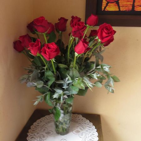 El Pedregal Sopo Bed & Breakfast Luaran gambar
