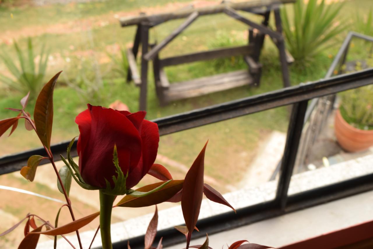 El Pedregal Sopo Bed & Breakfast Luaran gambar