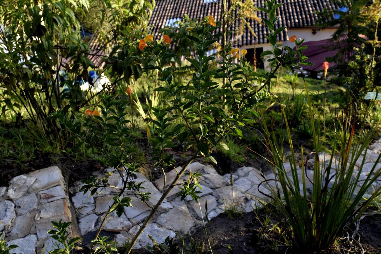 El Pedregal Sopo Bed & Breakfast Luaran gambar