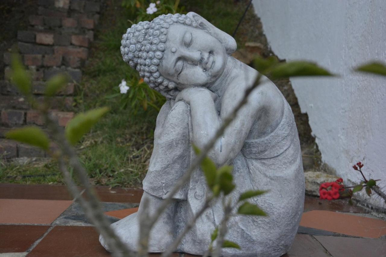 El Pedregal Sopo Bed & Breakfast Luaran gambar